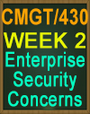 CMGT430 Enterprise Security Concerns